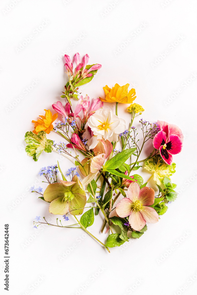 Obraz premium spring flowers on the white background