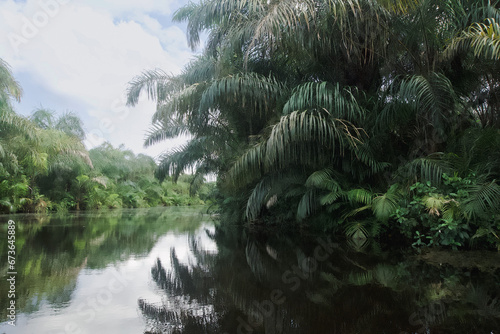 Beautiful view of the Black River photo