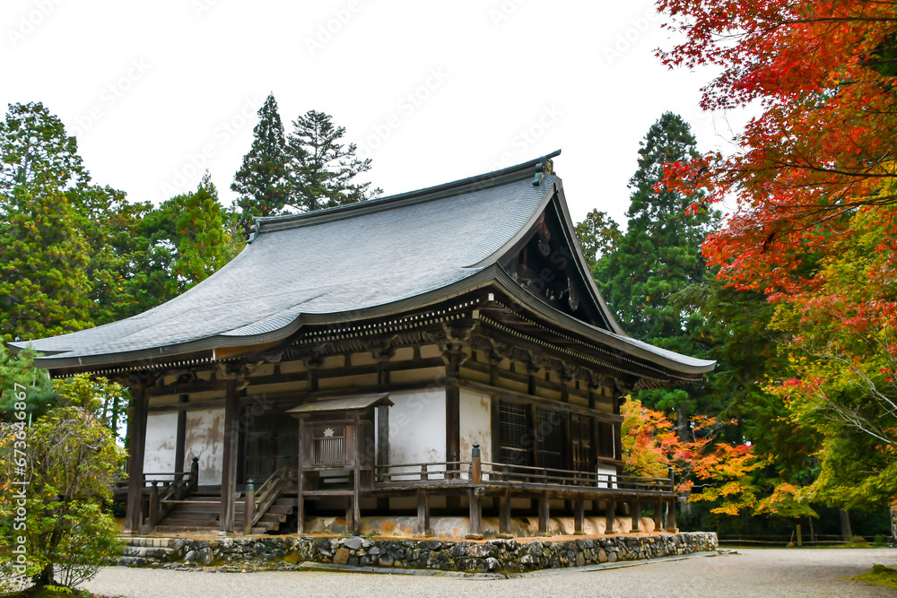 京都 高雄 神護寺五大堂の紅葉