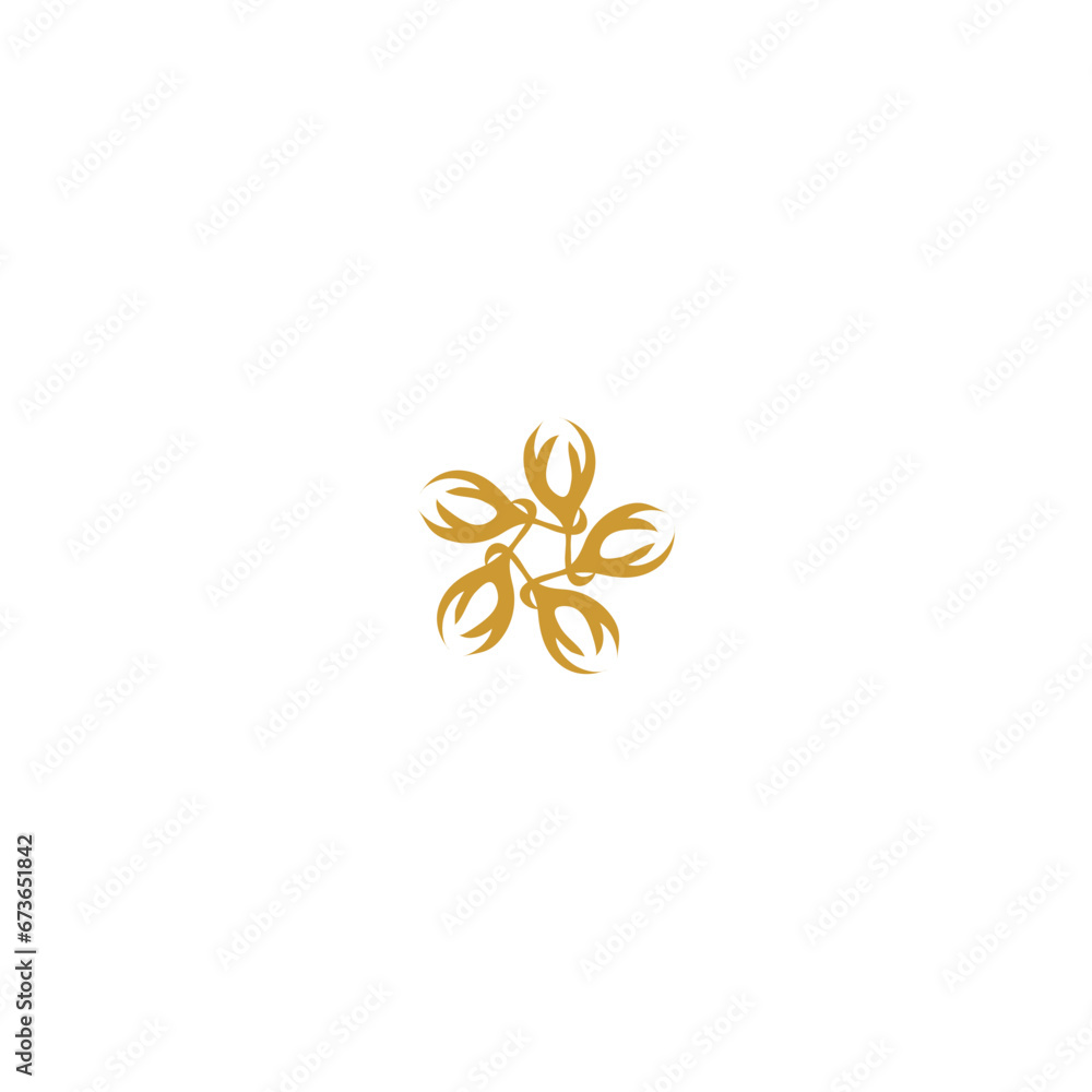 set of mandalas with flower motifs decoration set of mandalas with flower motifs decoration