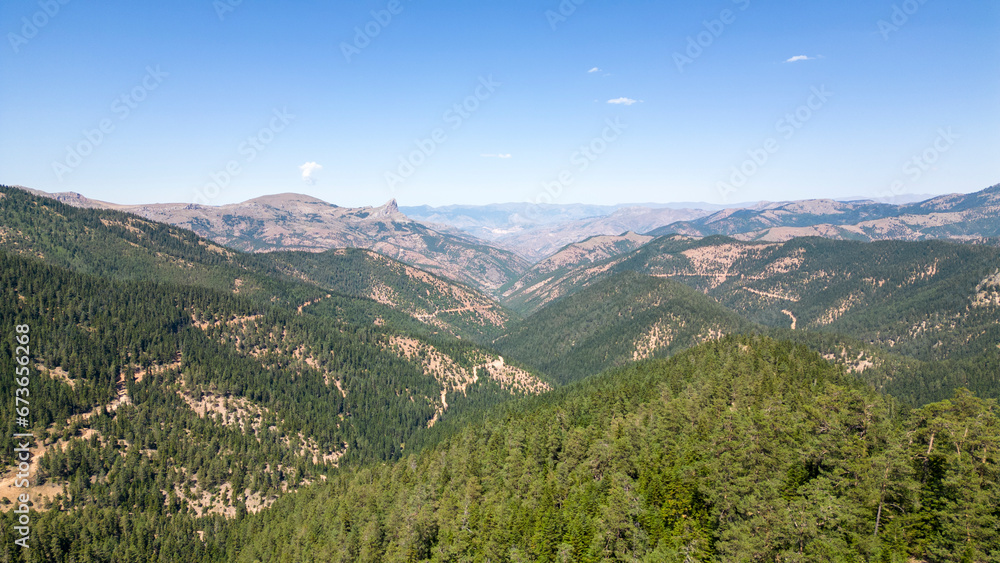 Mountains covered with forests. Aerial view of mountain hills covered with dense green lush woods on bright summer day