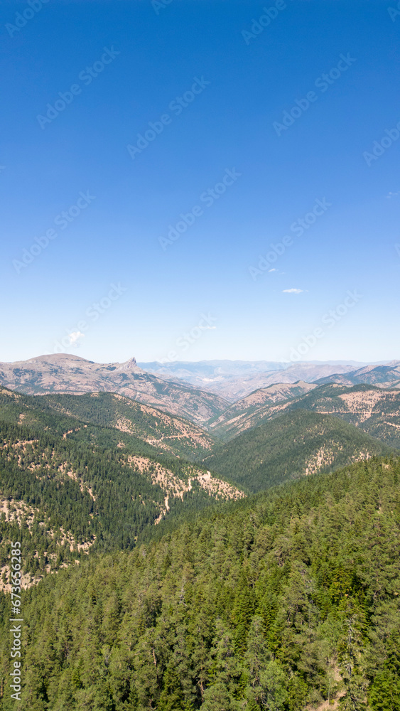 Naklejka premium Mountains covered with forests. Aerial view of mountain hills covered with dense green lush woods on bright summer day