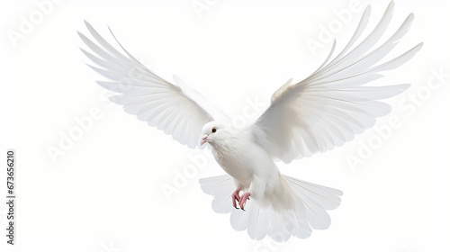 Free flying white pigeon on white background. Made with generative ai © Farid