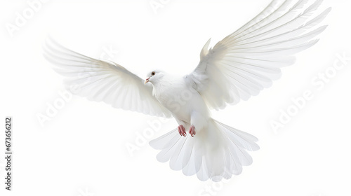 Free flying white pigeon on white background. Made with generative ai