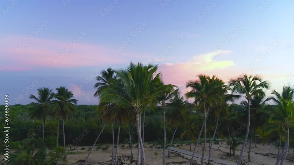 Dawn blue sky with clouds on the morning palm sandy beach. A gentle pink glow over the coast. Evening sky for meditation. Calm seascape. Landscape of the evening sky. Dawn blue sky with clouds on the morning palm sandy beach. A gentle pink glow over the coast. Evening sky for meditation. Calm seascape. Landscape of the evening sky.