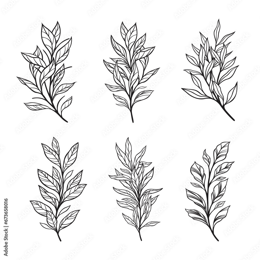 Trendy botanical elements, Hand drawn line leaves branches and blooming Trendy botanical elements, Hand drawn line leaves branches and blooming