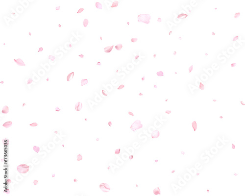 Pink sakura petals.