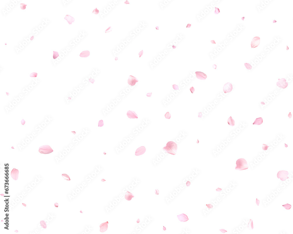 Beautiful sakura petals. Beautiful sakura petals.