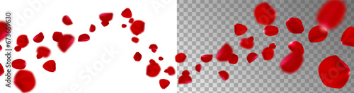 Flying red rose petals on white and transparent background.