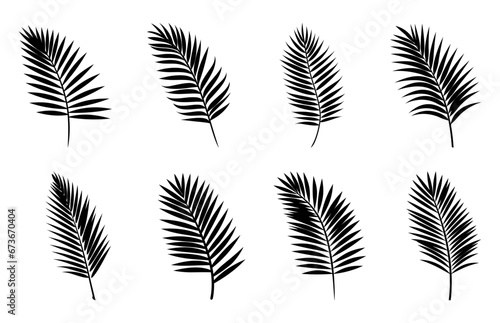 Beautiful Palm Tree Leaf Silhouettes Set