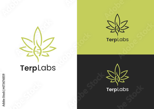 Vector cannabis and DNA logo design concept