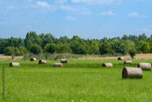Krajobraz wiejski, świeże bele siana słoma na zielonym polu 
