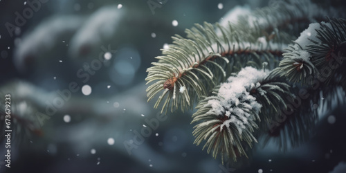 Christmas tree branches in snow at night. Fir Tree Branches in frost and snow. Beautiful Background for Christmas, XMas or New Year Greeting card, banner, postcard or invitation design © maxa0109