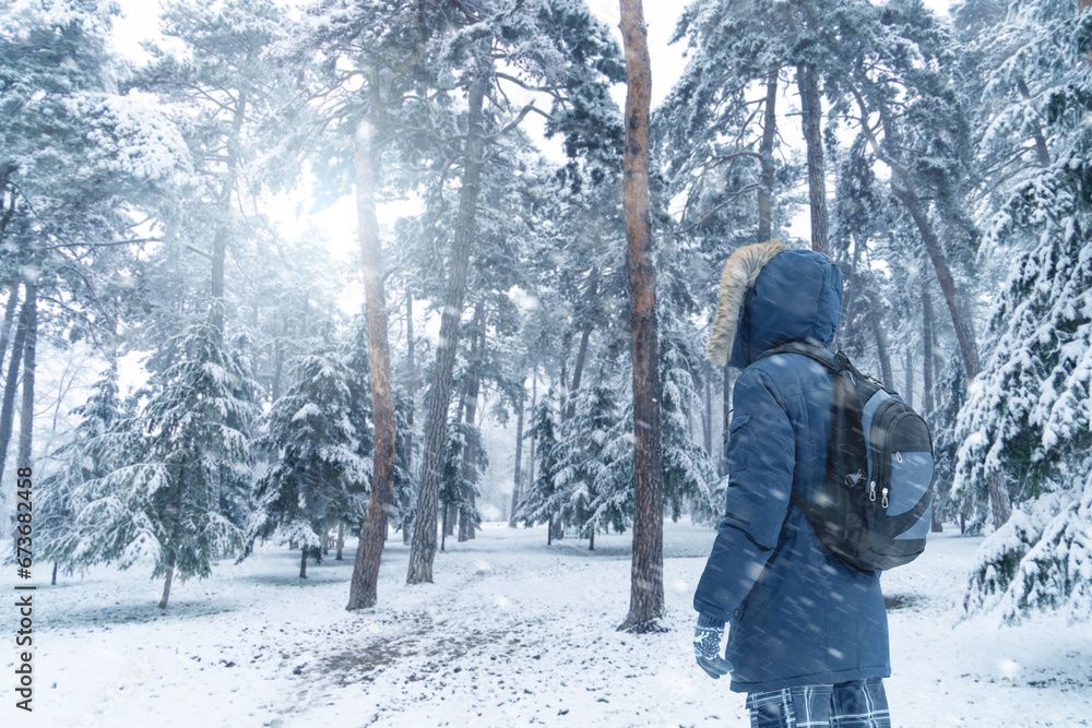 Back view of traveler in a blue jacket with a fur hood and a backpack on the background of a winter landscape during snowfall.