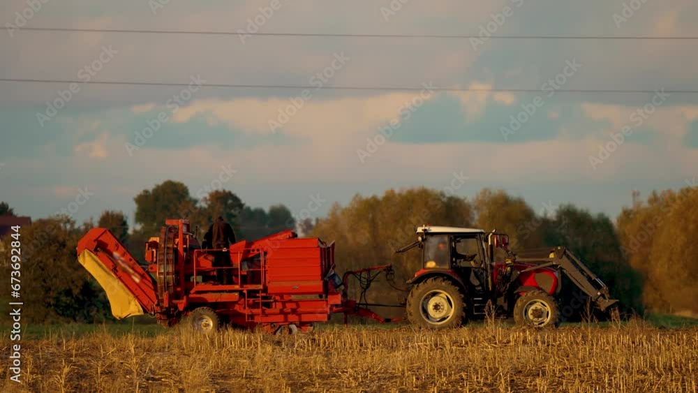 Tractor with towed harvester for sugar beet harvesting is working in agricultural field. Modern agricultural machinery working in agronomic field Tractor with towed harvester for sugar beet harvesting is working in agricultural field. Modern agricultural machinery working in agronomic field