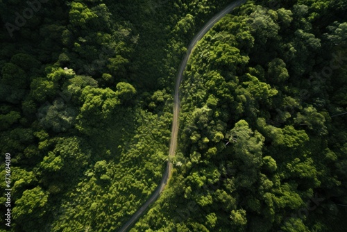 Aerial view of long road and forest. 