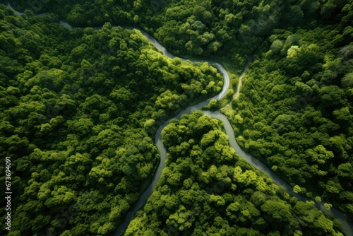 Aerial view of long road and forest. 