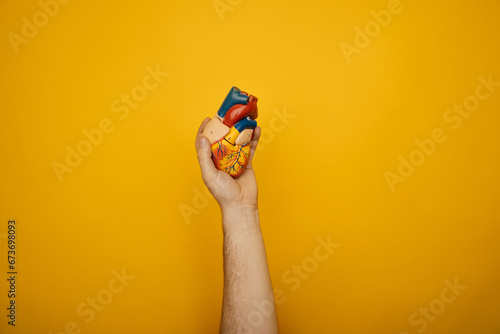 Hand holding heart model isolated on yellow background