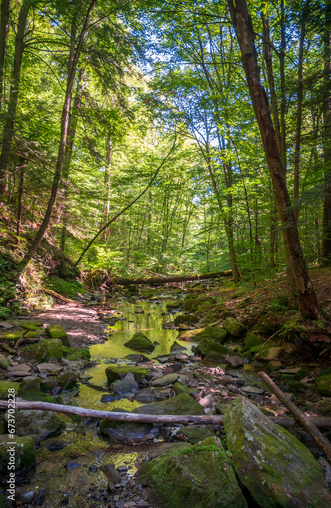 Allegany State Park in New York State Allegany State Park in New York State