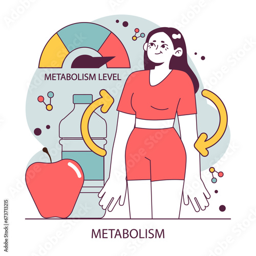 Endocrine system function. Cellular metabolism. Biochemical reaction in human body cells that produce the energy. Metabolic pathway. Flat vector illustration