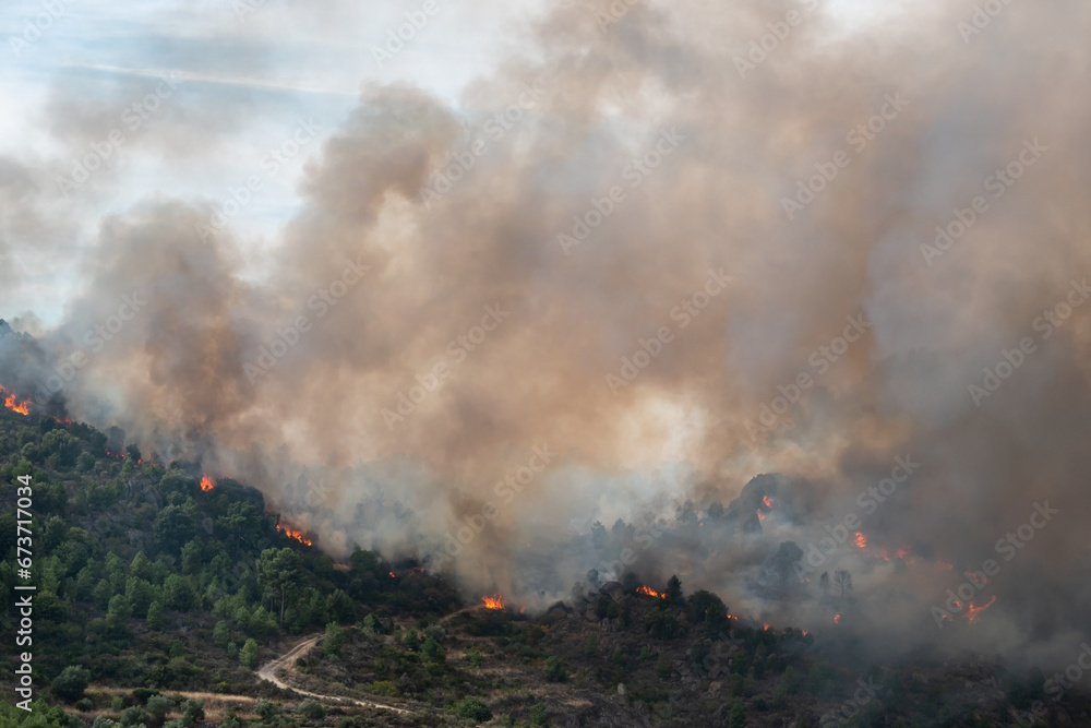 Grande incêndio florestal com grandes labaredas a queimar o monte deixando uma enorme nuvem de fumo no ar
