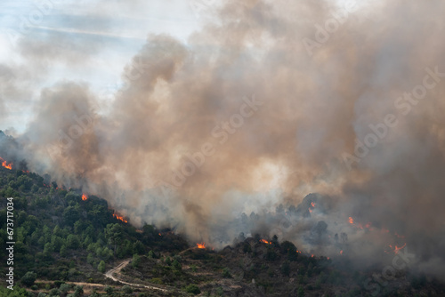 Grande incêndio florestal com grandes labaredas a queimar o monte deixando uma enorme nuvem de fumo no ar 