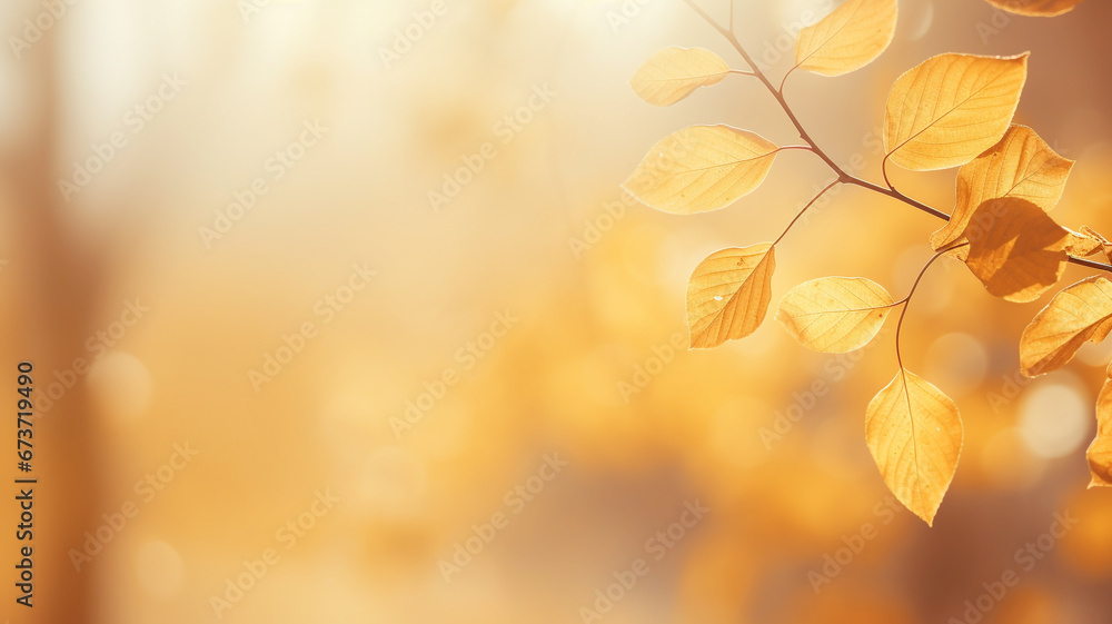 Beautiful blurred gentle natural light autumn background. Beautiful blurred gentle natural light autumn background.