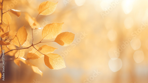 Beautiful blurred gentle natural light autumn background.