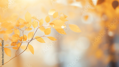 Beautiful blurred gentle natural light autumn background. © Yuwarin