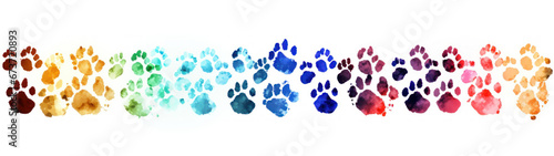 Paw print dog,A group of numerous paw print