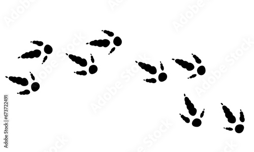 Australian animal ,bird paw prints, vector illustration wild animal footprints black on white background. Kangaroo foot print for different design.
