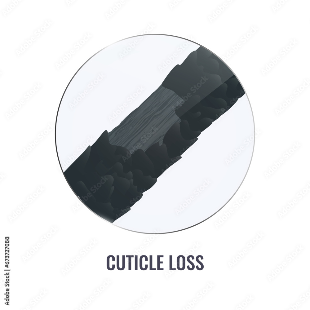 Fototapeta premium Surface of damaged hair with disappearing cuticle edges under the microscope. Hair follicle cuticle loss closeup. Trichology medical concept. Vector illustration.