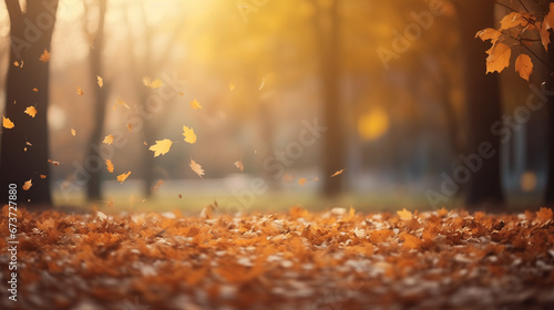 Autumn in the park © Giulio Oldrati
