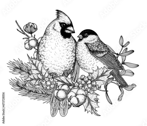 Vector illustration of winter birds on branches. Red cardinal and bullfinch in engraving style