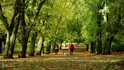 Dog walkers in Autumn leaves on park pathway  photo