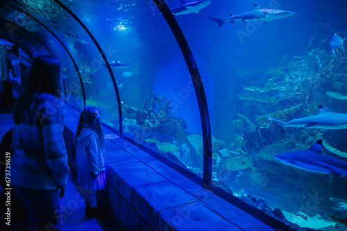 Cute little daughter with mother visiting zoo aquarium. People fascinated observing fish at oceanarium. Baby kid watching shark and corals. Child with mom looking at deep sea wildlife. Back side view. photo