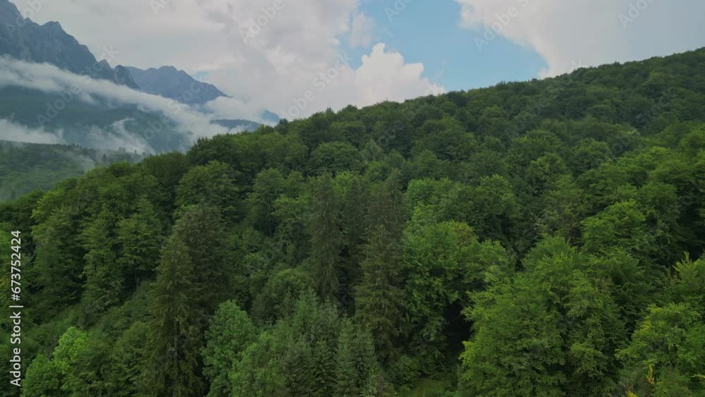 Mystical landscape in a rainy day with mountains forested with firs. Fabulous aerial view with foggy clouds above the trees. Mystical landscape in a rainy day with mountains forested with firs. Fabulous aerial view with foggy clouds above the trees.