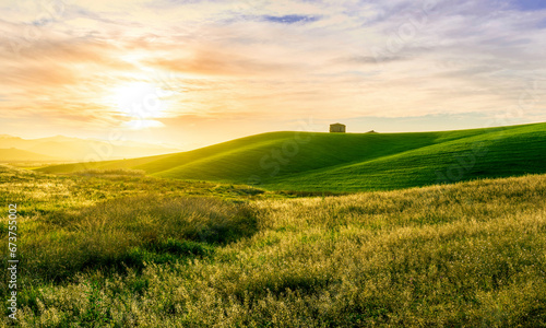 green field in countryside at sunset in the evening light. beautiful spring landscape in the mountains. grassy field and hills. rural scenery © Yaroslav
