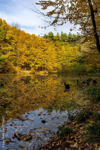Wallpaper Mural Autumn forest near a small lake Torontodigital.ca