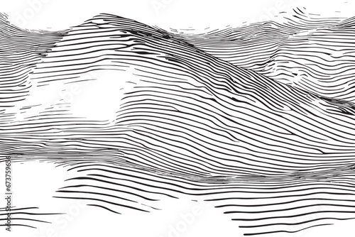 black and white texture vector image