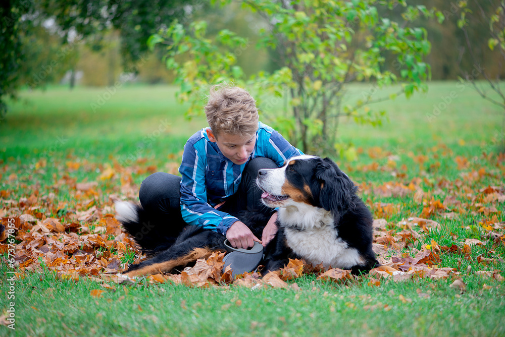 Outdoor portrait of boy with bernese mountain dog in autumn. Friendship of teenager with pet. Outdoor portrait of boy with bernese mountain dog in autumn. Friendship of teenager with pet.