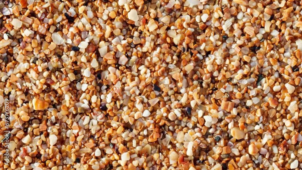 Yellow or beach sand from small parts of shells moving sideways, close-up macro, uniform texture background
Yellow or beach sand from small parts of shells moving sideways, close-up macro, uniform texture background