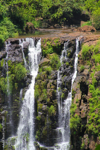 waterfall in the forest