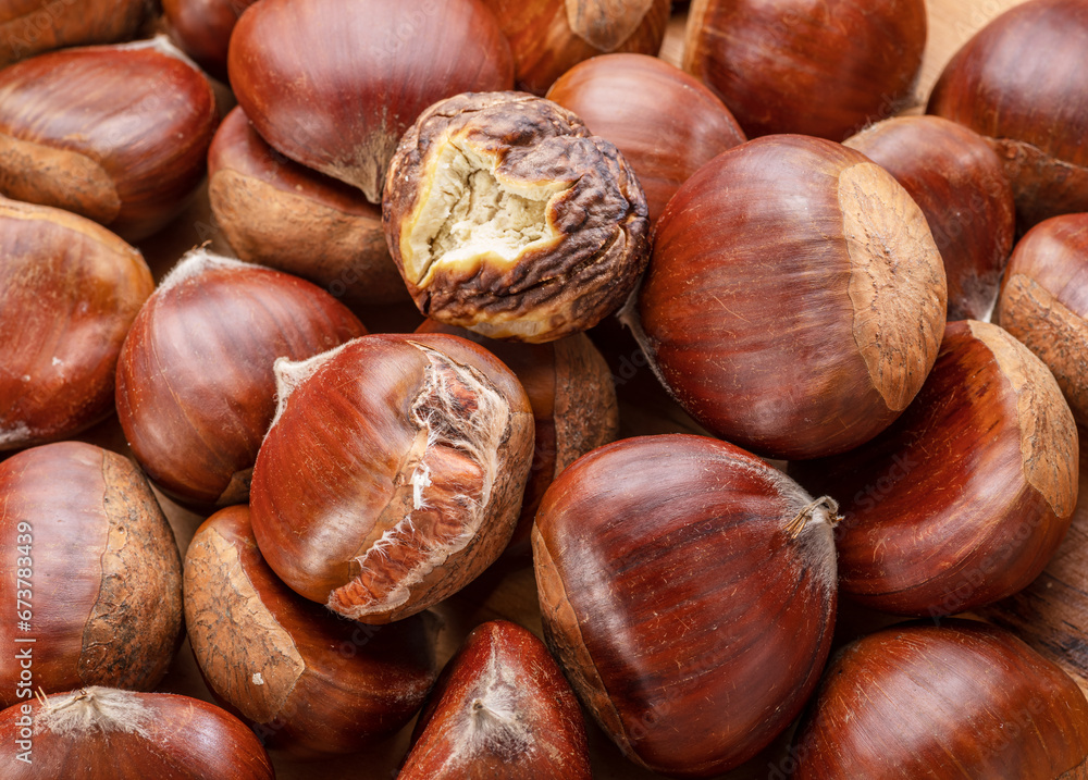 Edible sweet chestnuts with roasted chestnut. Edible sweet chestnuts with roasted chestnut.