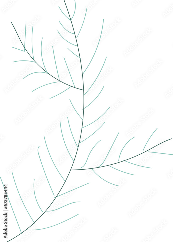 Pine leaf illustration Pine leaf illustration