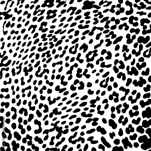 Leopard skin basis pattern black and white 