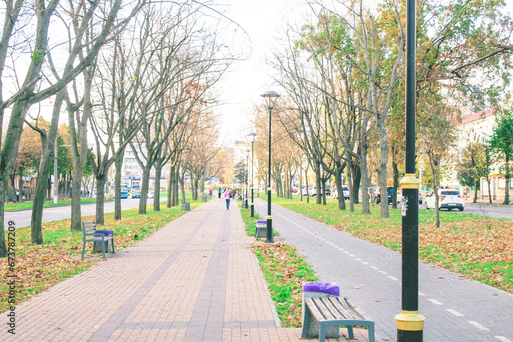 Obraz premium sunset in the park in the city