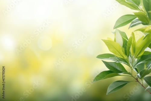 Green background bokeh blur with leaves. Space for text. Spring seasonal concept.