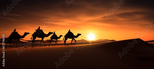 Animal photography - Black silhouette of camels in the desert during sunset or sunrise