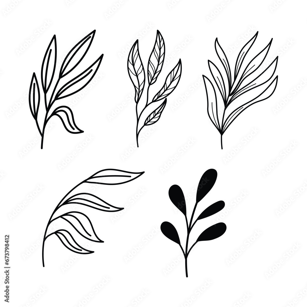 Obraz premium Line art botanical illustration vector on white background